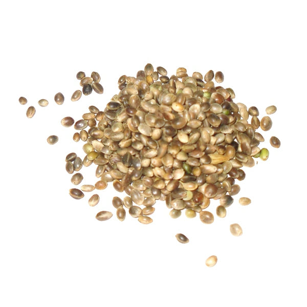 Cañamón Pequeño 1 Kg (Granel) – Semilla Premium para Pájaros – Rico en Omega 3, 6 y 9 – Estimula Canto, Celo y Cría