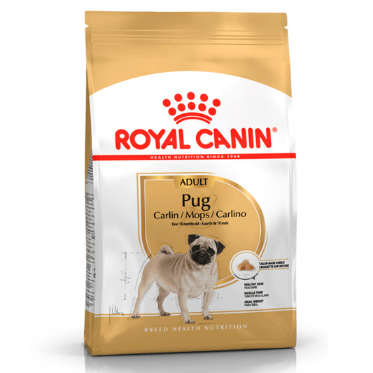 Royal Canin Pug Carlino Adulte - Nutrition complète et santé optimale