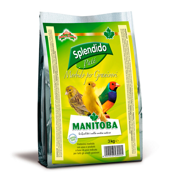 Pâte jaune humide Manitoba Splendido 3 kg