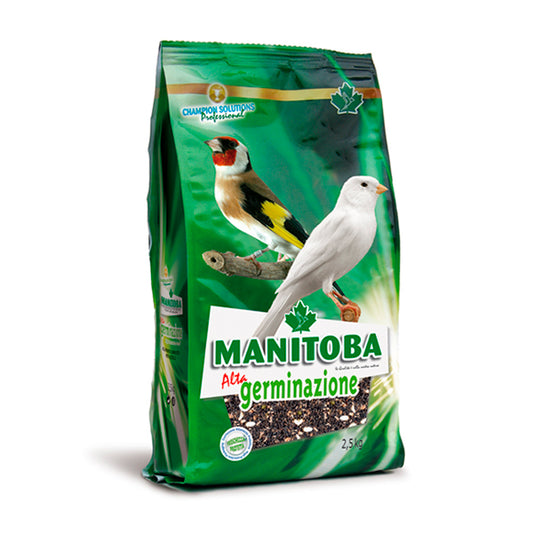 Manitoba Germiné Haute Germination 2,5 kg