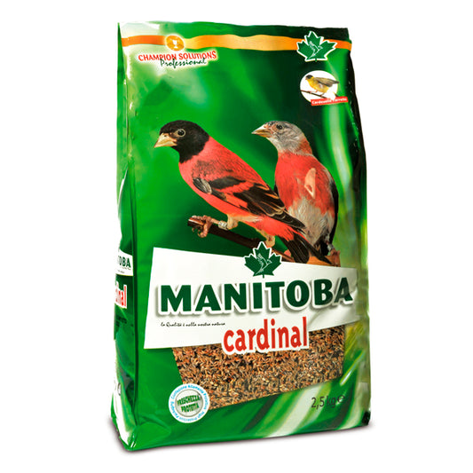 Cardinal du Manitoba 2,5 kg