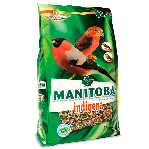 Autochtone du Manitoba 2,5 Kg