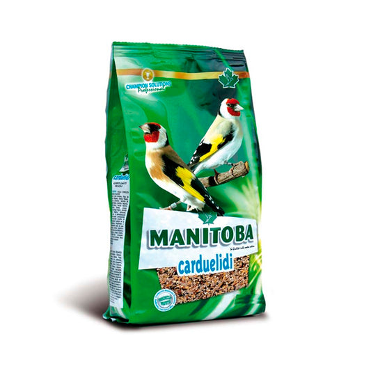 Carduelidi du Manitoba 800 gr