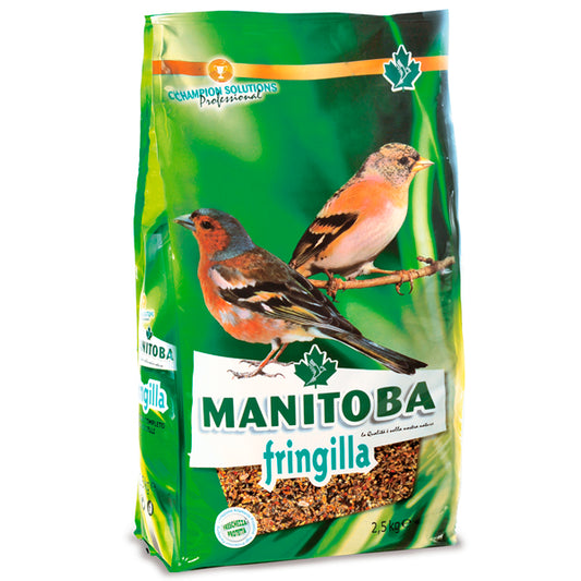 Fringilla du Manitoba 2,5 kg